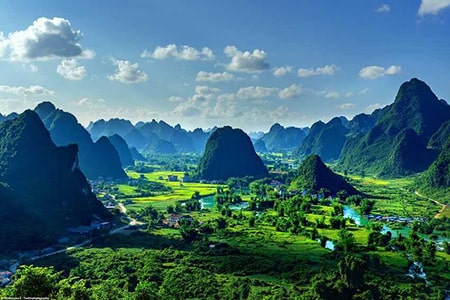 Việt hương